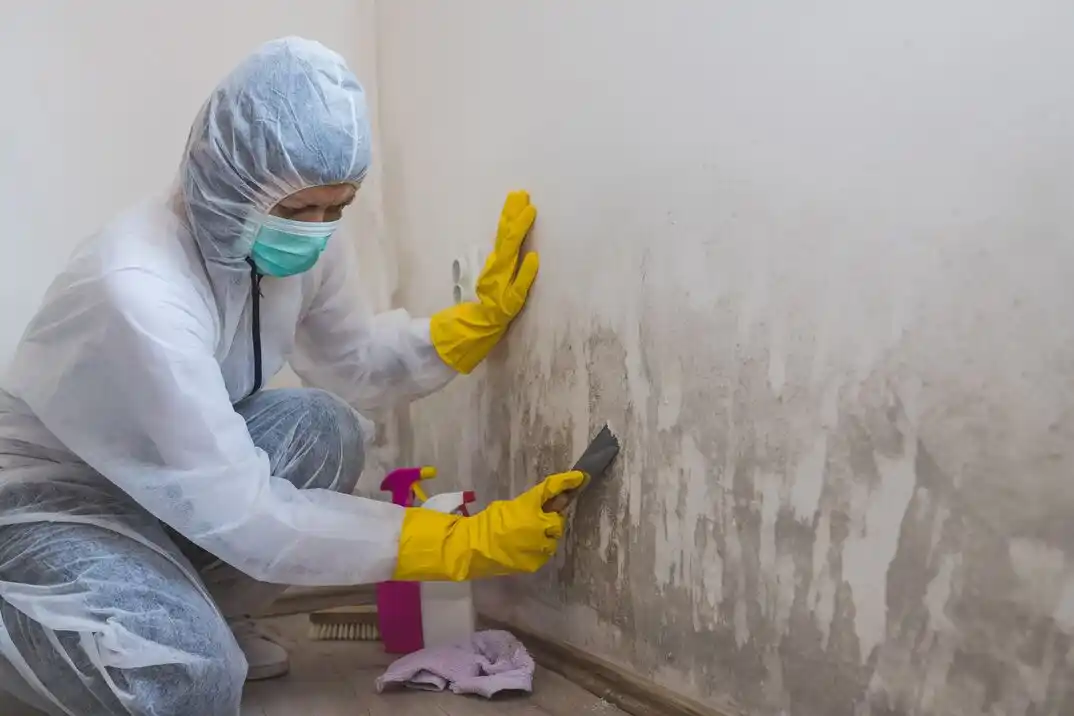 water damage restoration service Maxwell